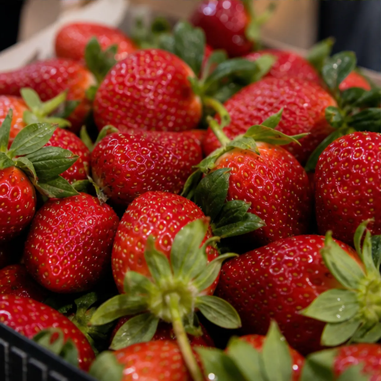 Fresh strawberry From product to shipment